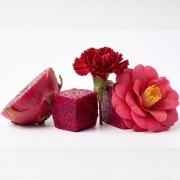 czerwony owoc pitai oraz kwiaty goździka i kamelii