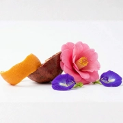 skórka granatu, kwiat klitorii, kwiat kamelii oraz chryzantemy