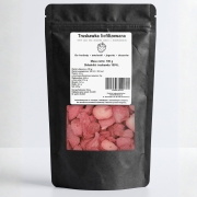 Truskawka liofilizowana plastry 100 g – 100% owoc bez dodatku cukru doypack