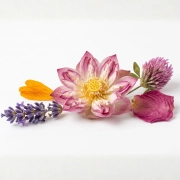 Mieszanka ziołowa z lawendą, różą i nagietkiem 50 g – Sunny Blossom