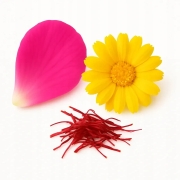 Czarna herbata liściasta z różą, nagietkiem i szafranem 50 g - Rainbow Earl Grey