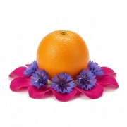 Czerwonokrzew afrykański z dodatkiem pomarańczy, róży i bławatka 50 g - Rooibos Orange