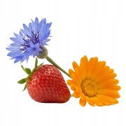 Czerwona herbata Pu-Erh z truskawką, kwiatami bławatka i nagietka 50 g - Earth & Berry