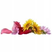 Japońska zielona herbata Sencha z różą i kwiatami 50 g - Spirit of the morning